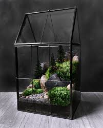 Large Greenhouse Moss Terrarium With Landscape Scene In Moss Terrarium Terrarium Plants Large Greenhouse