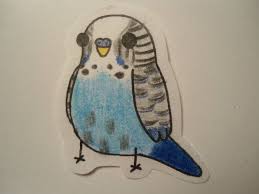 Chibi Parakeet By Alwazacaligirl On Deviantart Parakeet Chibi Critter