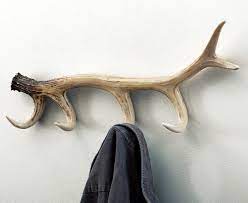 You might need to sand the edges to get it to fit. Antler Coat Rack