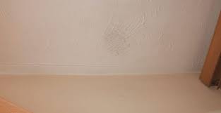 They fade out and are gone until sleep. Get Rid Of Mould And Black Spots From Windows Walls And Ceilings