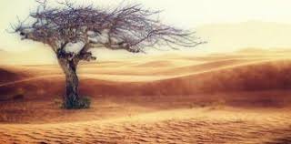 We did not find results for: Cambio Climatico Definicion Archives Vida Natural Salud