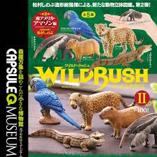 Amazon rainforest, large tropical rainforest occupying the amazon basin in northern south america and covering an area of 2,300,000 square. Japan Q Museum Capsule Toys Wild Rush World Animal South America Rainforest Macaw Giant Anteater Caiman Capybara Jaguar Figures Action Figures Aliexpress
