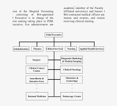 organizational chart of princess diana hospital imaging