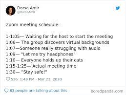 35 Best Posts About The Everyday Realities Of Zoom Meetings Bored Panda