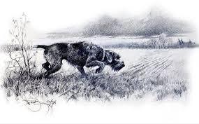 Dog Training Teach Your Dog Dog Learning Dog Tips Dog Hacks Dogtips Vorstehhund Hundekunst Deutsch Drahthaar