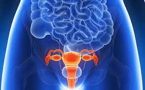We did not find results for: Endometriosi Almaphysio Fisioterapia Milano