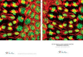 We won't stop until cancer does. Research Report Peter Maccallum Cancer Centre