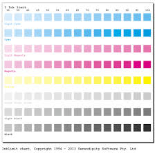 setting maximum ink when profiling high resolution printers