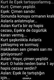 Bazen Tartismama Sebebim Tam Da Budur Aslandan Ceza Almamak Ozlu Sozler Guzel Soz Alintilar