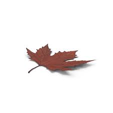 Leaf Png Images Psds For Download Pixelsquid Free stream overlays lavaflow png. leaf png images psds for download
