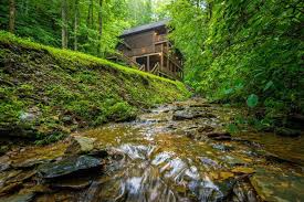 All rentals are beautifully furnished and maintained and feature only the best modern amenities to ensure your comfort and convenience. Private Creek Cabin Easy Access Great Location Cabins For Rent In Sevierville Tennessee United States