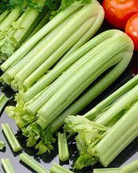 Image result for Apium graveolens