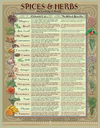 Healing Herbs Spices Kitchen Chart Spices Herbs