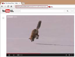 So, the key is to move the video's playground from youtube to our browser. How To Download Video With Vlc Youtube Included