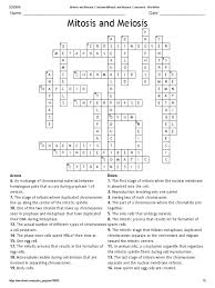 As understood, realization does not suggest that you have astonishing points. Cell Division Mitosis And Meiosis Crossword Puzzle Answer Key