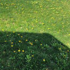 Pest control services you can count on. Siani Pest Control Inc 29 E High St Womelsdorf Pa 19567 Usa