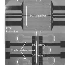 Pieter Telleman's research works