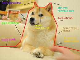 At first, dogecoin seemed to piggyback off viral meme stocks like gme and amc, surging over 800 elon musk even tweeted about it, which usually does wonders to increase the interest in a stock or. Dogecoin Know Your Meme