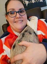 What does it mean when my pot-bellied pig squeals and nudges my feet?