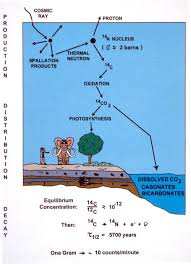 But can any reliable methods. Rosa Rubicondior How Creationists Lie To Us Carbon Dating Hoax