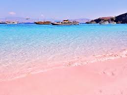 The komodo national park area is not just a location of pink beach indonesia, but this place has a beautiful natural attraction is also a refuge of giant and ancient creatures that are only found in indonesia, komodo dragon. Pink Beach Komodo Islands Most Instagrammed Pink Sand Beach The Curated Travelist