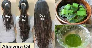 3 Remedes A La Maison A Base D Aloe Vera Pour Des Cheveux Forts Prevenir La Chute Des Cheveux Combattre Les C Aloe Vera For Hair Aloe Vera Hair Oil Grow Hair