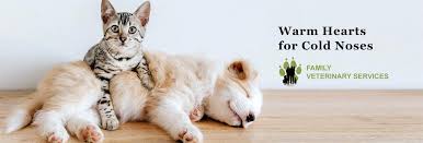 Our staff wants you to know that we value your pet as much as you do and we strive. Family Veterinary Services Montague Veterinary Hospital
