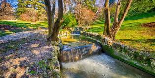 Oeste got you covered on a sat night. Oeste Park Official Tourism Website
