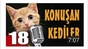 Konusan Kediler 18 En Komik Kedi Videolari Konusan Hayvanlar Youtube