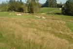 Golf Course Grass Seed Solutions: Kentucky Bluegrass, Kikuyu Grass
