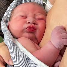 Nurture + Bloom Birth Collective