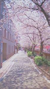 Wallpaper South Korea Travel Honeymoon Backpack Backpacking Vacation Asia Wanderlust Budget Off The Beaten Pa Pemandangan Anime Pemandangan Latar Belakang