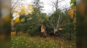 19 hours ago · a powerful tornado ripped through a barrie, ontario neighbourhood on thursday afternoon, leaving a path of destruction in its wake. Tornado Touched Down In Thornbury Environment Canada Confirms Ctv News
