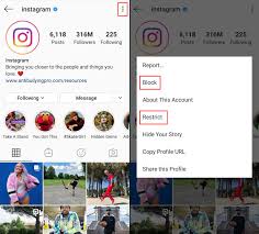 Now click the unmute option below bio section. Instagram Privacy And Security Settings Kaspersky Official Blog