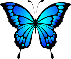 Schmetterling vorlage zum ausdrucken beste malvorlagen und throughout schmetterling schablone zum ausdrucken. 2 000 Kostenlose Schmetterling Insekt Illustrationen