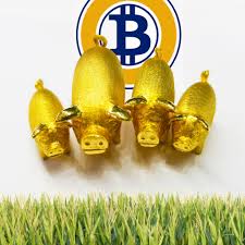 Digital currencies and the ledgers that hold the transactions offer much more freedom than. The Best And Worst Cryptocurrency Investments For The First Half Of 2018 Markets And Prices Bitcoin News