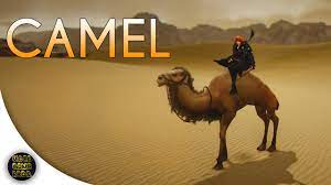Since its a simple get request we will use the browser to test it. Black Desert Online How To Get Your First Camel Valencia Update Youtube