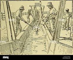 Image result for dip vat