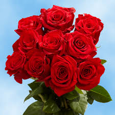 Visit our store for daily fresh cut flowers, plants and gifts of all varieties. Valentine S Day Roses Cropley S Garden Center