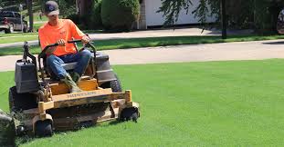 See why we're rated #1 for st. Get A Lawn Care Service Quote Today Oasis Property Maintenance