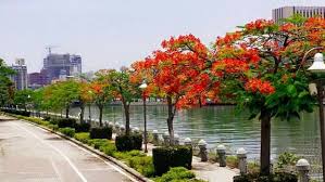 高雄愛河的鳳凰花開了 Canal Structures