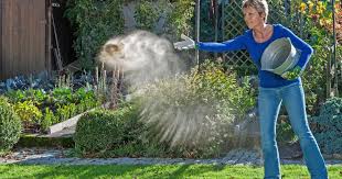 Rasen Kalken So Machen Sie Es Richtig Garten Garten Pflanzen Garden Types