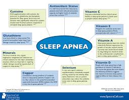 Spectracell Adrenal Nutrient Chart Bing Images Sleep