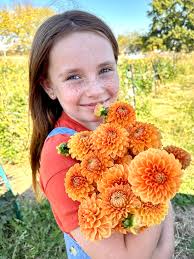 Dahlia Tubers for Sale from Lilygate Farm in Rogersville, Missouri