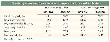 Take Another Look At Silage For Finishing Cattle Hay And