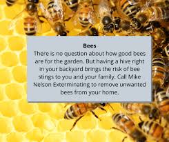 After reading all the recommendations for their mosquito control and having my son eaten alive over the weekend, i gave them a call to have my yard treated. Home Mike Nelson Exterminating