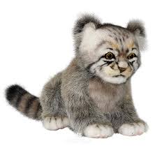 Мех у манула самый густой и пушистый среди. Myagkaya Igrushka Kotenok Manula 31 Sm Hansa Cena 2120