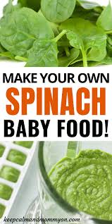 How To Make Spinach Baby Food Keep Calm And Mommy On Recipe In 2020 Baby Spinach Recipes Baby Food Recipes Baby Food Pouch Recipes
