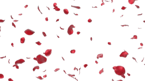 Download Falling Petals Free Clipart Hq Hq Png Image Freepngimg Скачать файл png (289,65 kb, 1024x576). download falling petals free clipart hq