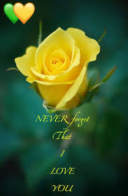 Never Forget That I Love You I Carry Your Heart With Me Always I Hold It In My Hand And Imagine Holdi Good Night Flowers Good Morning Images Yellow Roses
